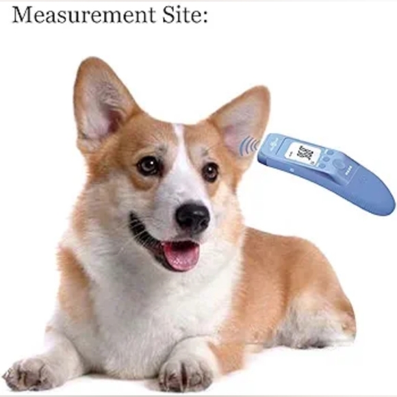 Pet thermometer - Picture 3 of 10